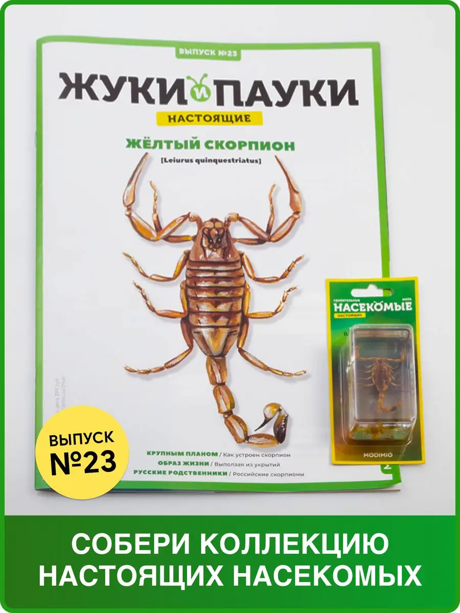 Жуки и пауки, Выпуск №23, Жёлтый скорпион MODIMIO купить по цене 466 ₽ в  интернет-магазине Wildberries | 46464394