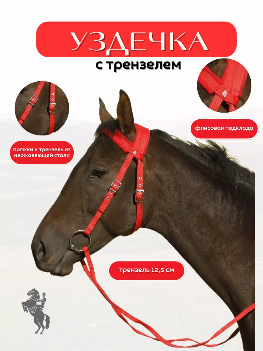 Уздечка с трензелем и поводом для лошади Sweethorse купить по цене 2 222 ₽  в интернет-магазине Wildberries | 47864042