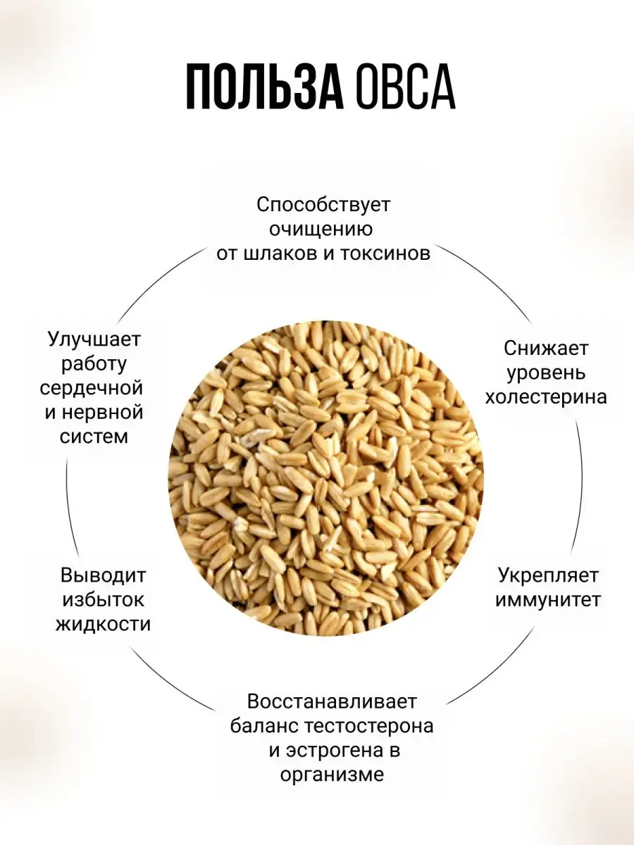 ОВЕС порошок из проростков SNEKO GOLD купить по цене 0 сум в  интернет-магазине Wildberries в Узбекистане | 48523917