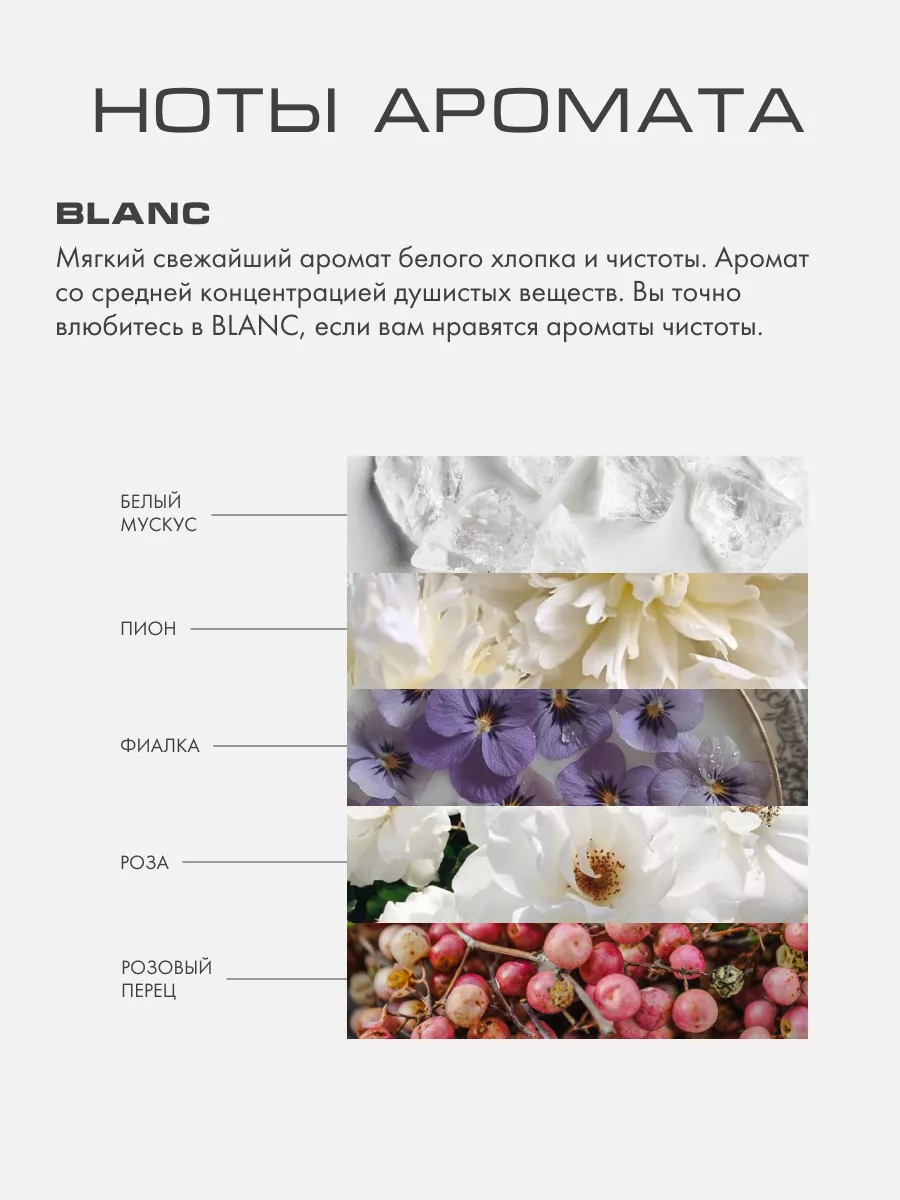 Ароматизатор с палочками для дома аромат BLANC Kaori купить по цене 3 490 ₽  в интернет-магазине Wildberries | 49797815