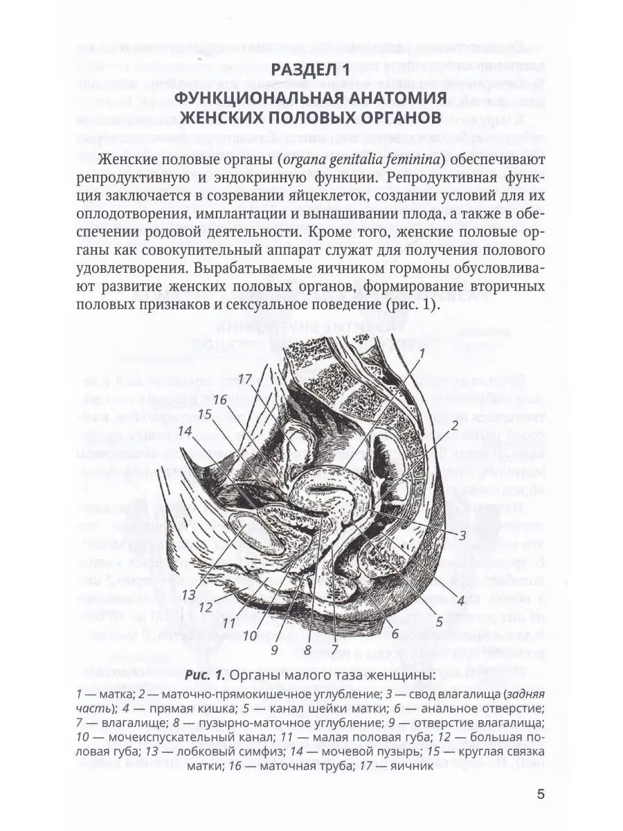 Полная пластика влагалища — фото до и после операции в клинике Эталон | Доступна рассрочка