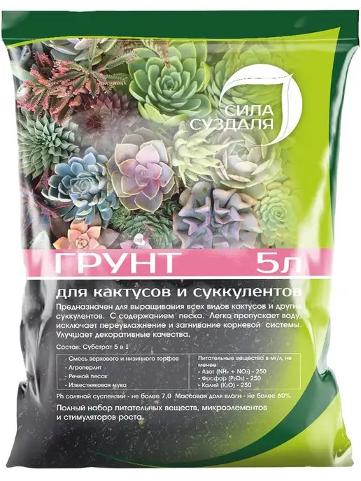 Wildberries — интернет-магазин модной одежды, обуви и аксессуаров