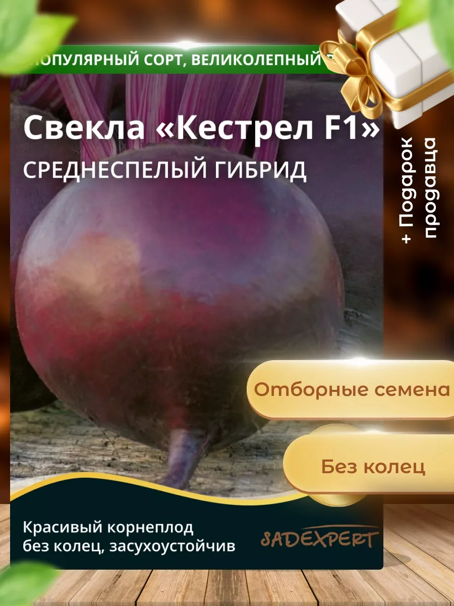 SADEXPERT Семена Свекла Кестрел 1 упаковка 1 гр.