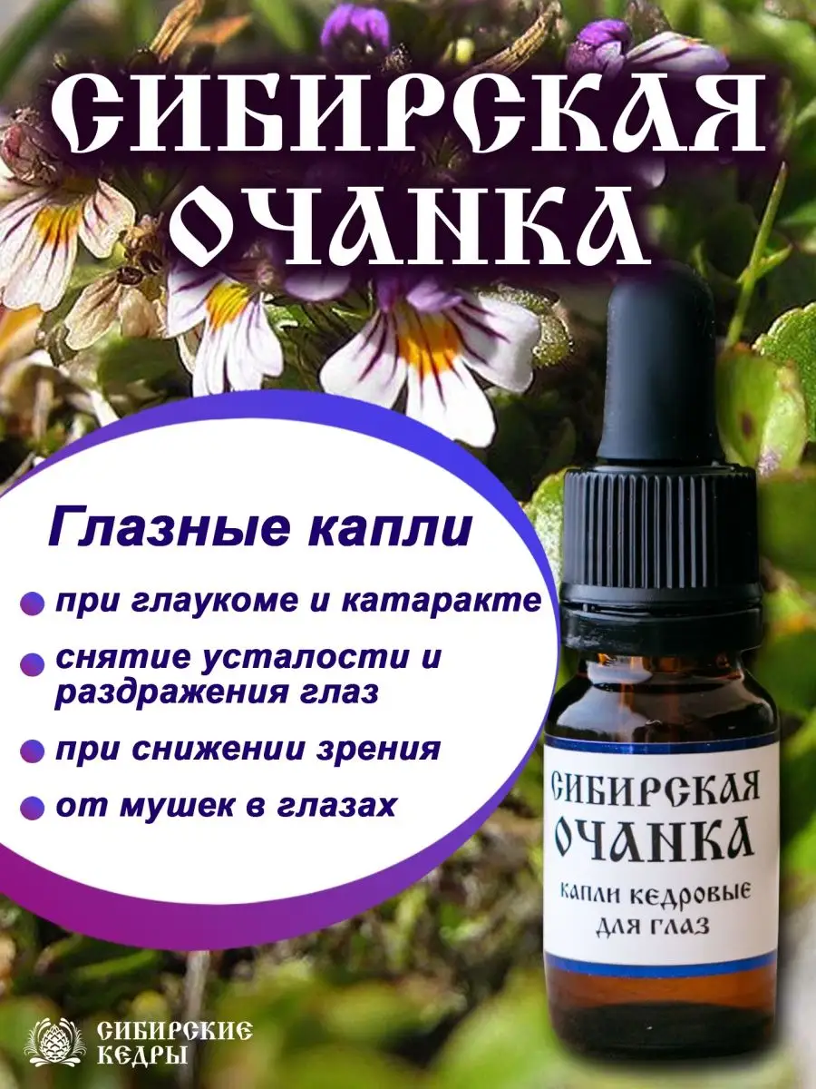 Сибирская очанка