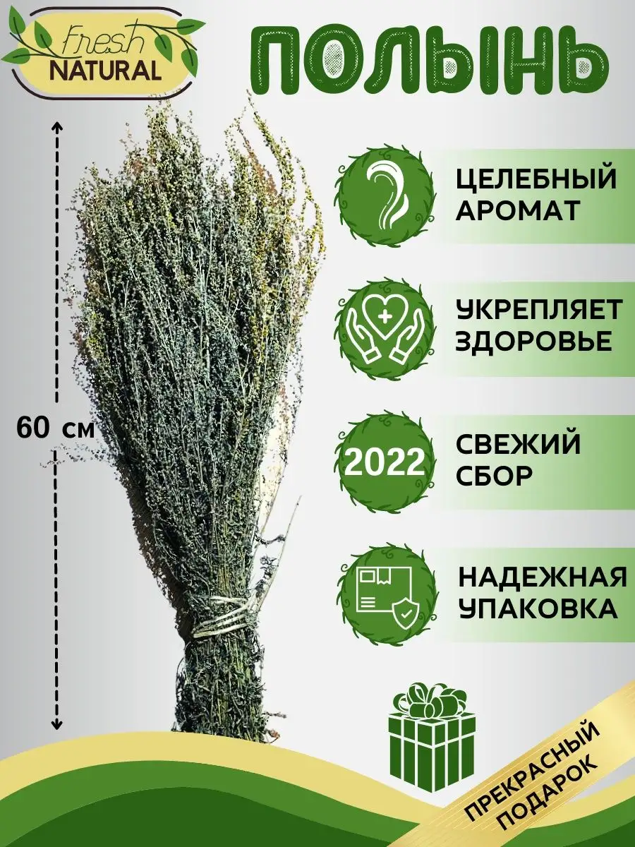 Веник для бани из полыни полынь для дома Банный Пар купить по цене 0 р. в  интернет-магазине Wildberries в Беларуси | 51659567