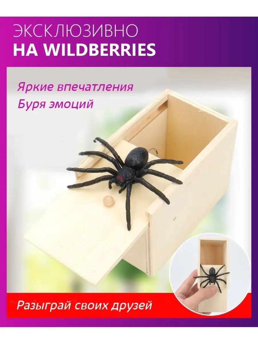 Коробка с пауком розыгрыш Simplexe home купить по цене 492 ₽ в  интернет-магазине Wildberries | 52069263