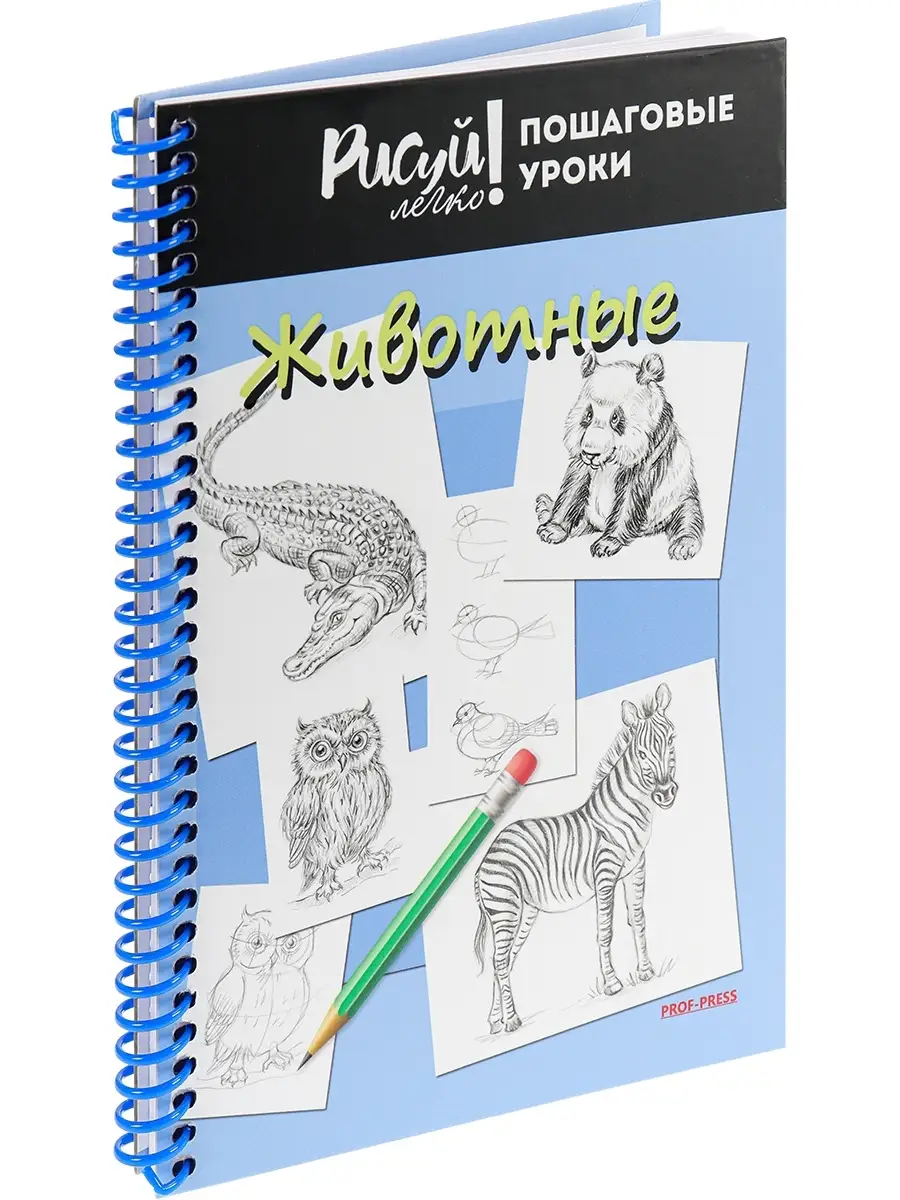 Prof-Press Блокнот Рисуй легко! А5, 64 листа