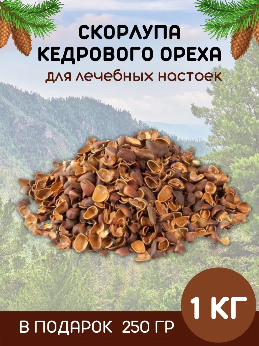 Скорлупа кедрового ореха кедровая шелуха Находка купить по цене 0 сум в  интернет-магазине Wildberries в Узбекистане | 53653336