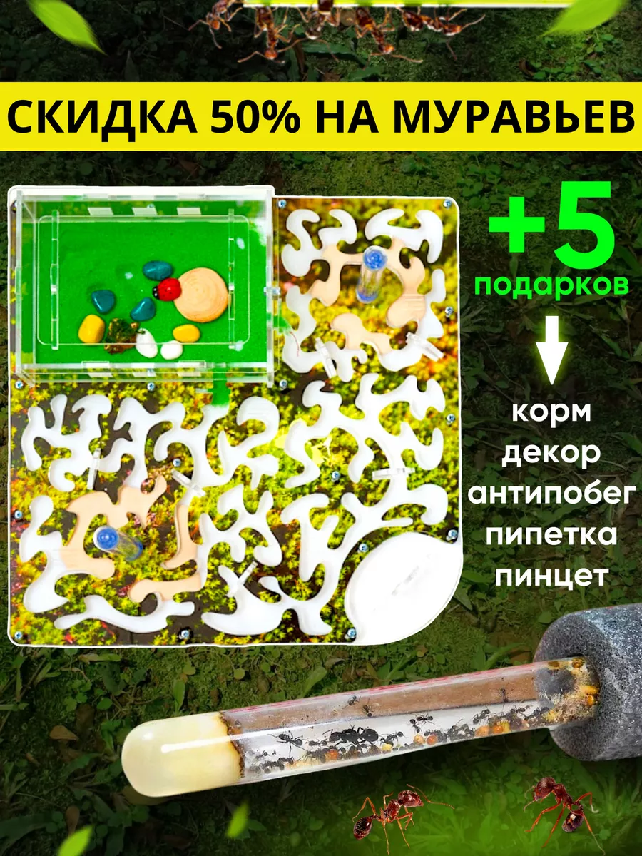 Муравьиная ферма Макс Мох FORMIC купить по цене 1 434 ₽ в интернет-магазине  Wildberries | 53699988