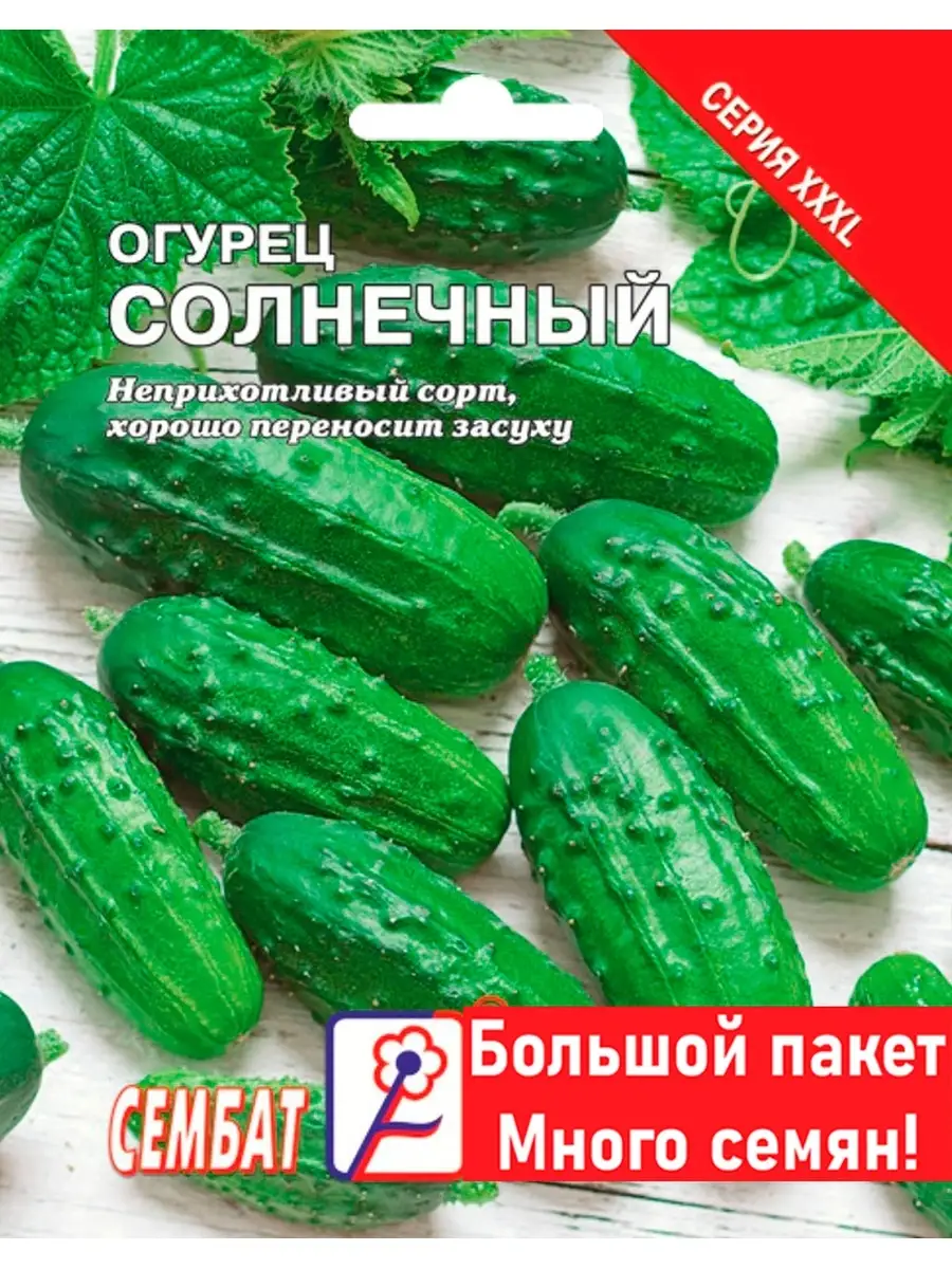 Любят ли огурцы солнце