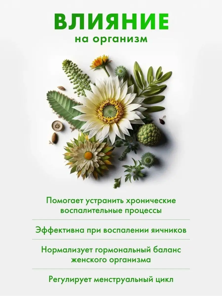 Боровая матка, таблетки №50 Фармгрупп купить по цене 184 ₽ в  интернет-магазине Wildberries | 57814033