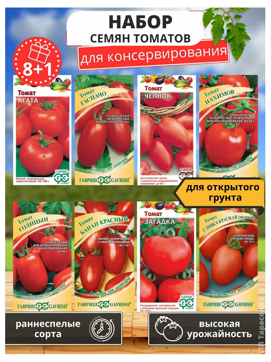 Семена томатов низкорослые для консервирования Гавриш купить по цене 273 ₽  в интернет-магазине Wildberries | 58019219