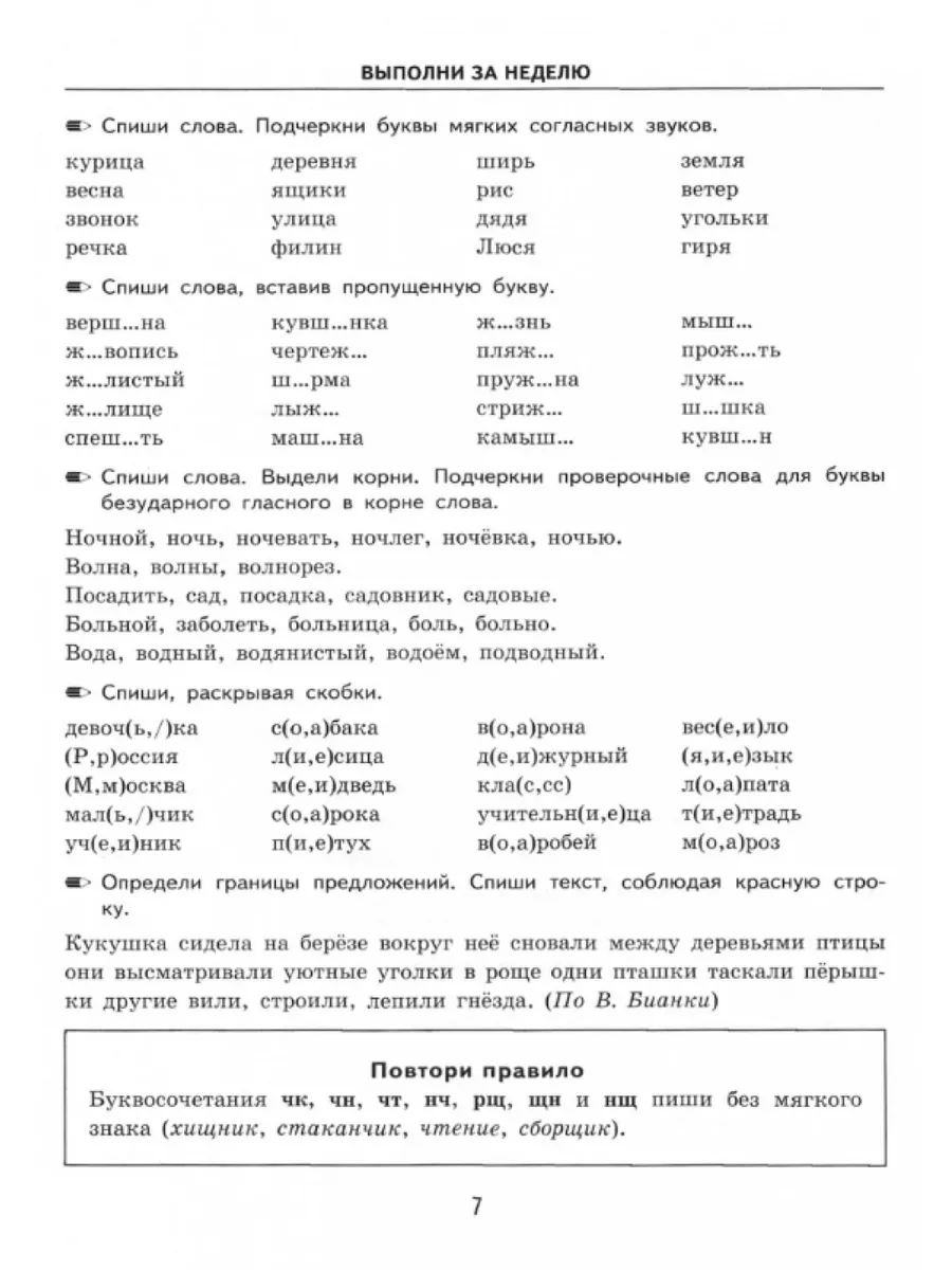 Тренировочные примеры по русскому языку 3 класс
