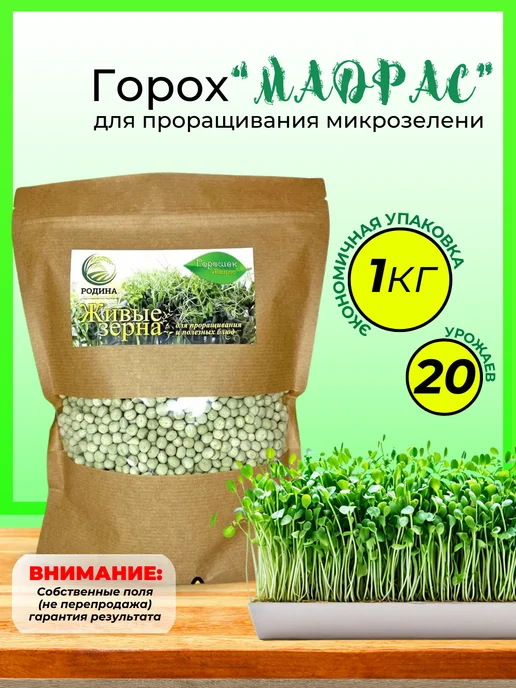 семена микрозелень горох