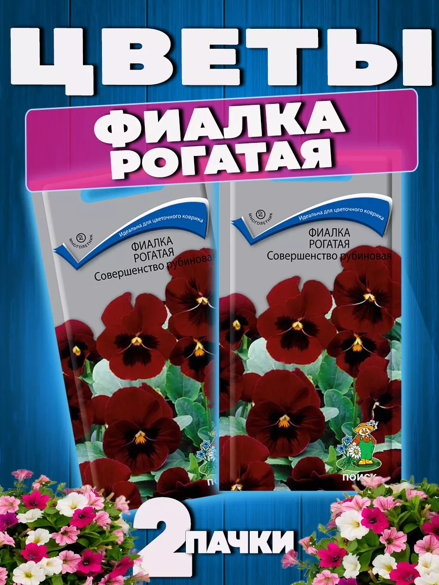 Упаковка фиалок - Статті про домашні рослини Догляд, рекомендації користувачів