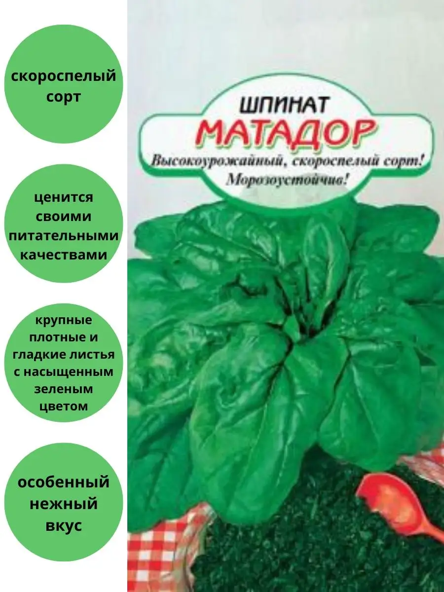 Сибирские сортовые семена Шпинат Матадор