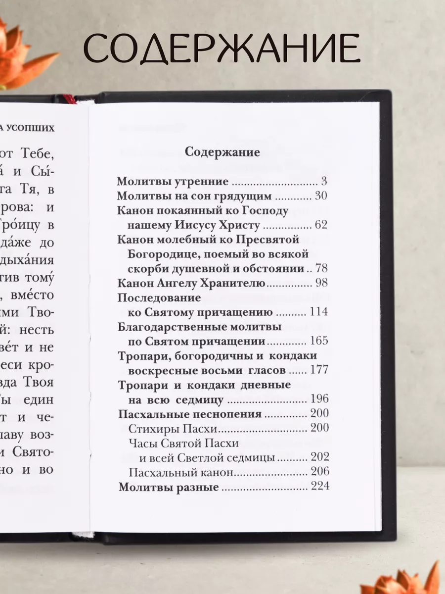 Молитвослов православного христианина. Карманный формат Летопись купить по  цене 9,73 р. в интернет-магазине Wildberries в Беларуси | 65208733