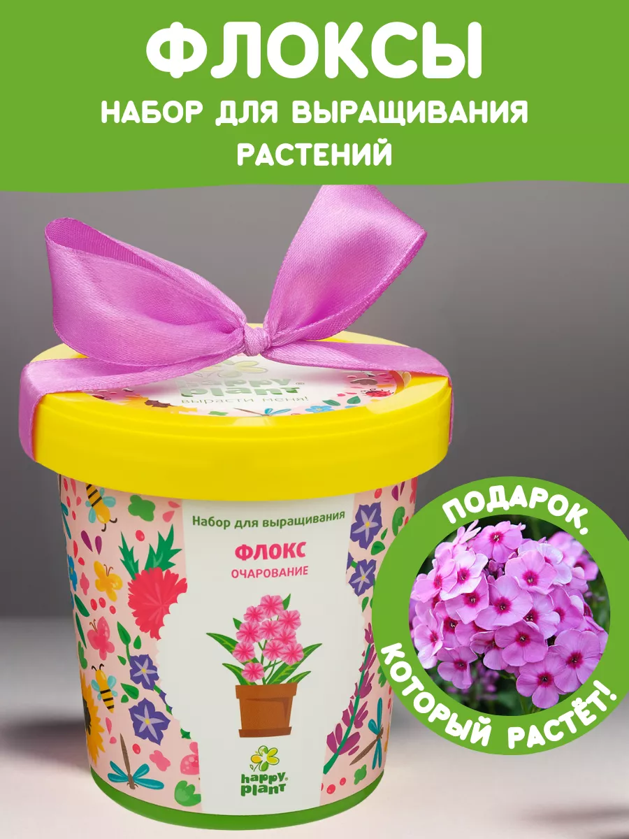 Набор для выращивания растений и цветов Флоксы Happy Plants купить по цене  377 ₽ в интернет-магазине Wildberries | 65660604