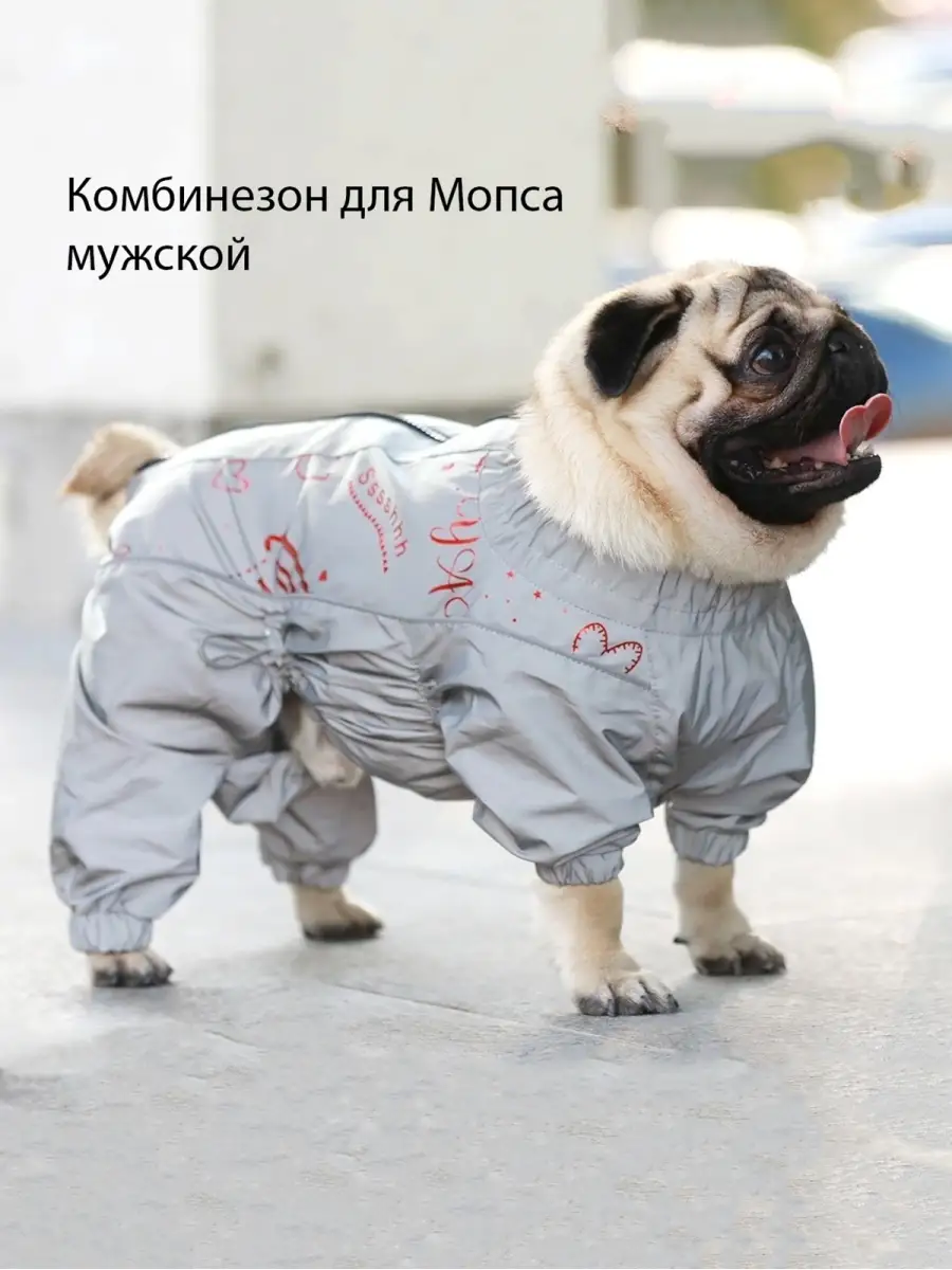 Chill Choll Одежда для собак Мопс