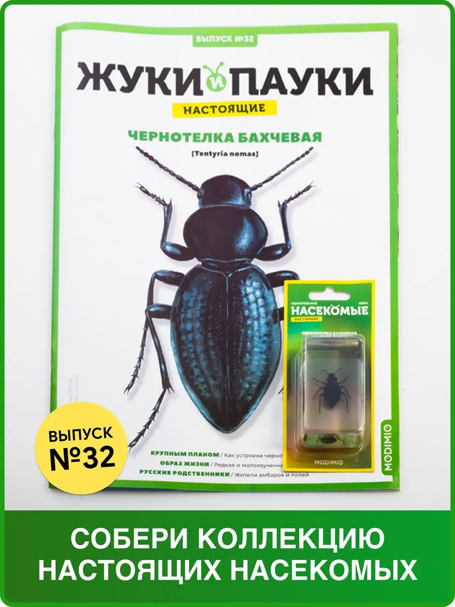 Жуки и пауки, Выпуск №32, Чернотелка бахчевая MODIMIO купить по цене 19,38  р. в интернет-магазине Wildberries в Беларуси | 66493696