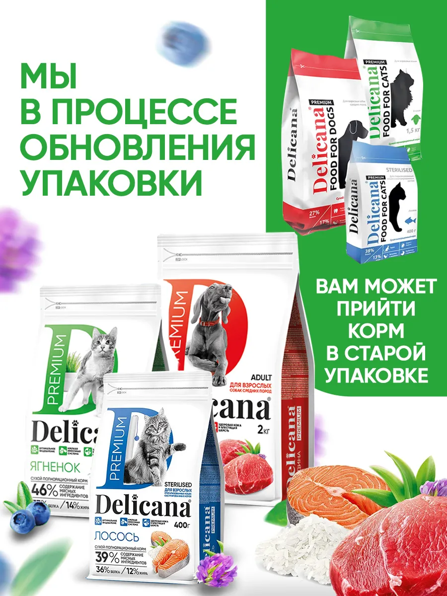 Корм сухой для собак средних пород Ягненок с рисом, 15 кг Delicana купить  по цене 6 354 ₽ в интернет-магазине Wildberries | 66530758