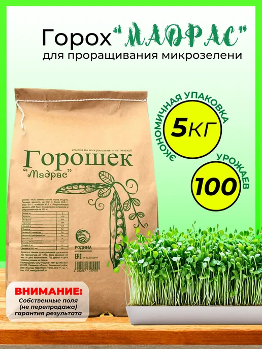 семена микрозелень горох