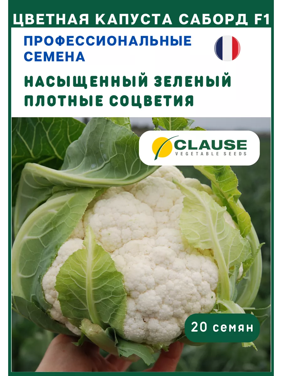 Семена цветной капусты Саборд F1 СЕМЕНА ПРО купить по цене 11,54 р. в  интернет-магазине Wildberries в Беларуси | 68606897