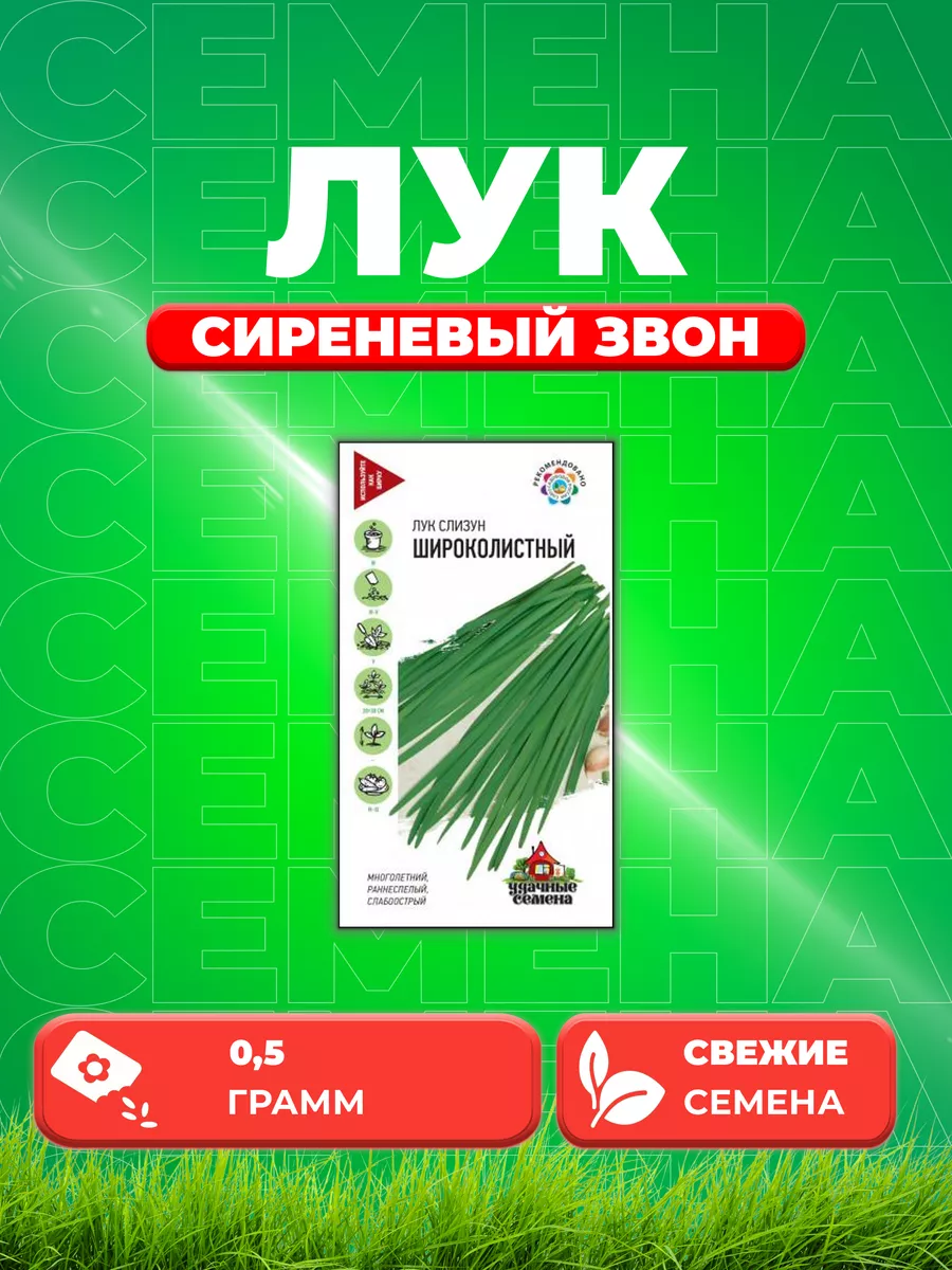 Лук слизун Широколистный 0,5 г Уд. с Удачные семена купить по цене 0 сум в  интернет-магазине Wildberries в Узбекистане | 71970421